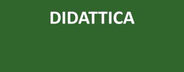 Bando di selezione per soli titoli per l’assegnazione di n. 4 borse nell’ambito del PLS 